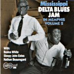 Mississippi Delta Blues